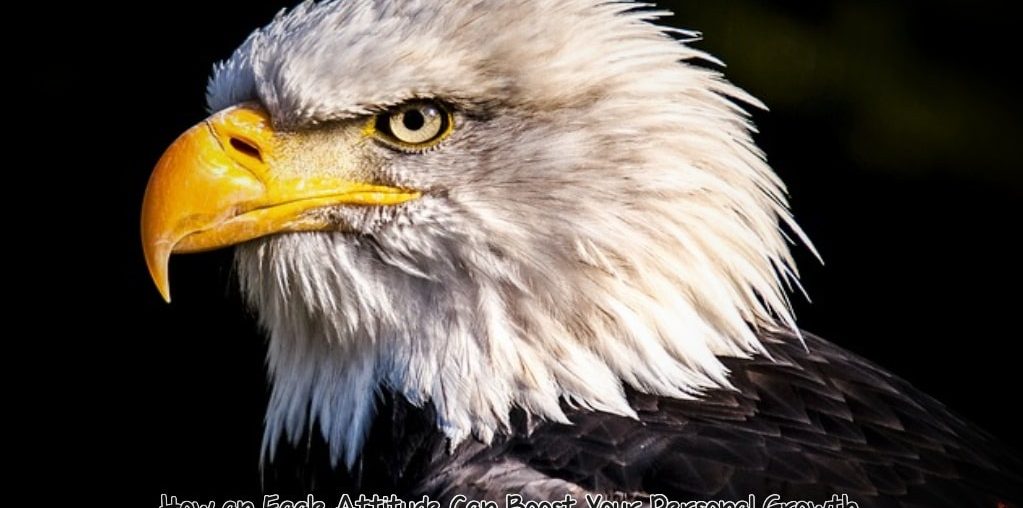 Eagle Attitude