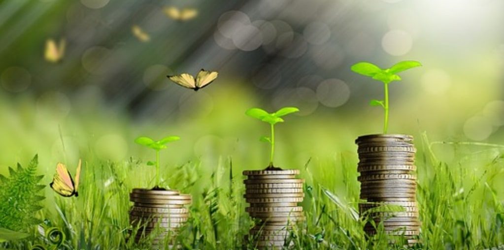 Make a Passive Income as Retired 2024